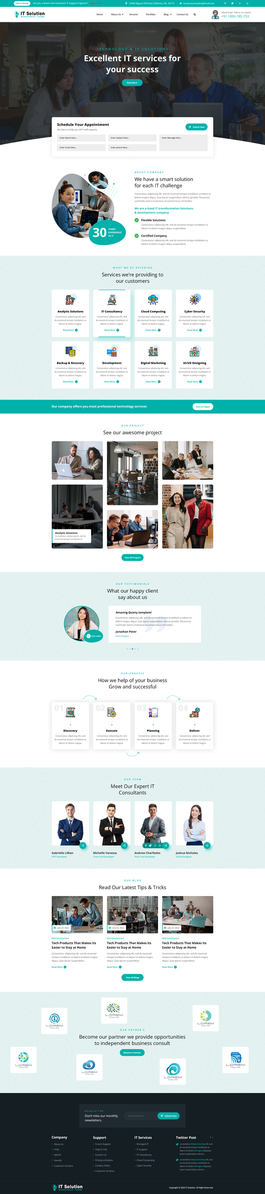 Software WordPress Theme