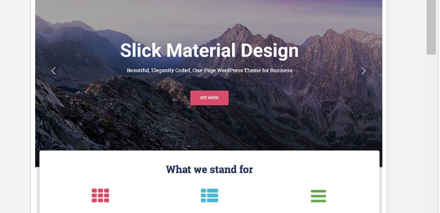 Design Beautiful Professional WordPress Themes