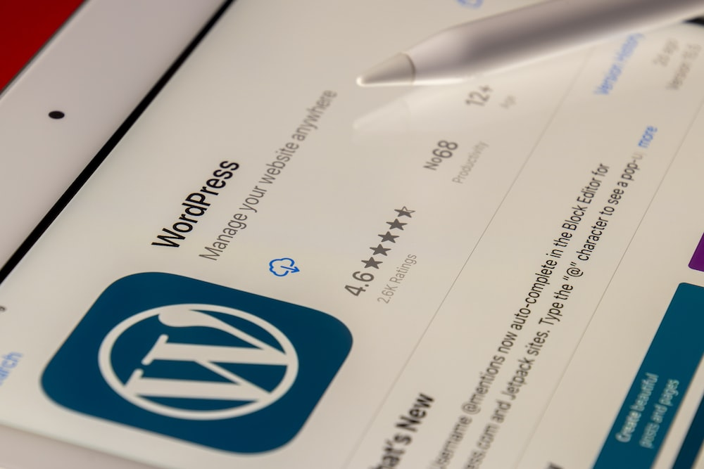 WordPress for Small Business 